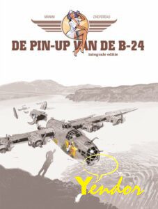 De pin-up van de B-24 integraal